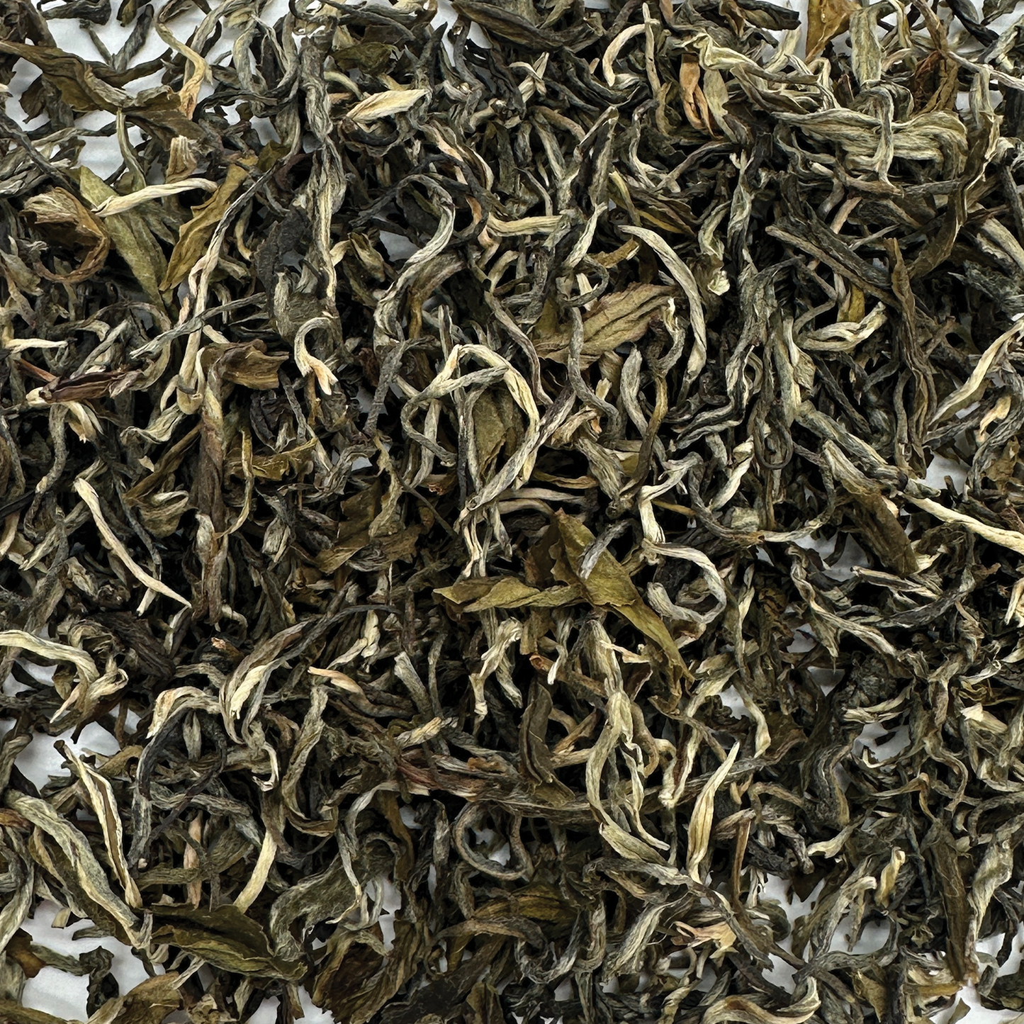 Weißer Tee Yunnan Special White leaf Tea
